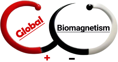 Global Biomagnetism Therapy